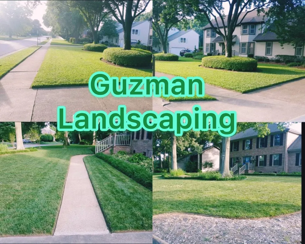 Local yard cleanup service in Springfield, VA - Guzman Landscaping