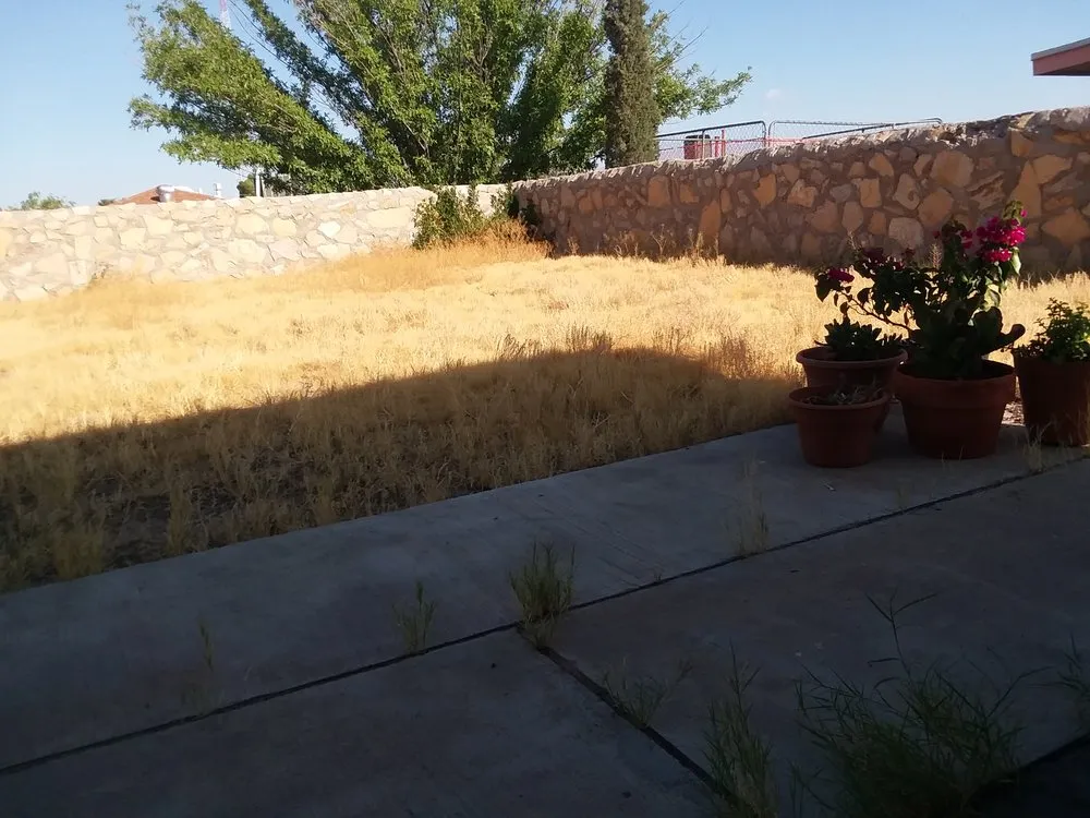 Local lawn care service for year-round maintenance across El Paso, TX - Guzman Lawn & Landscape