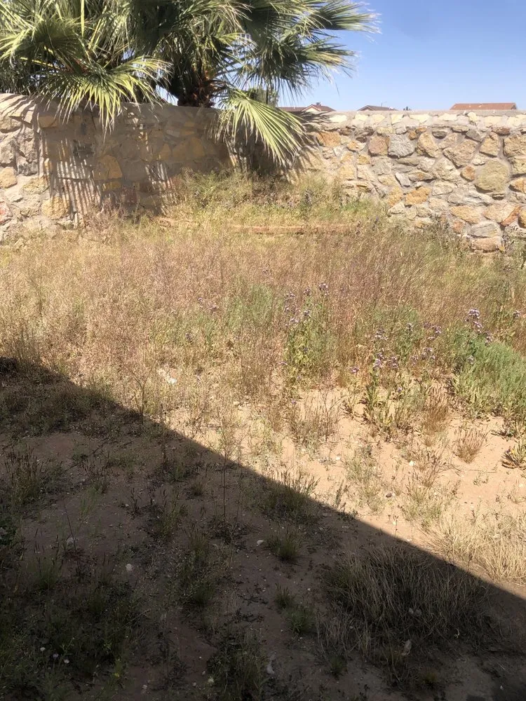 Custom lawn care service experts serving El Paso, TX - Guzman Lawn & Landscape