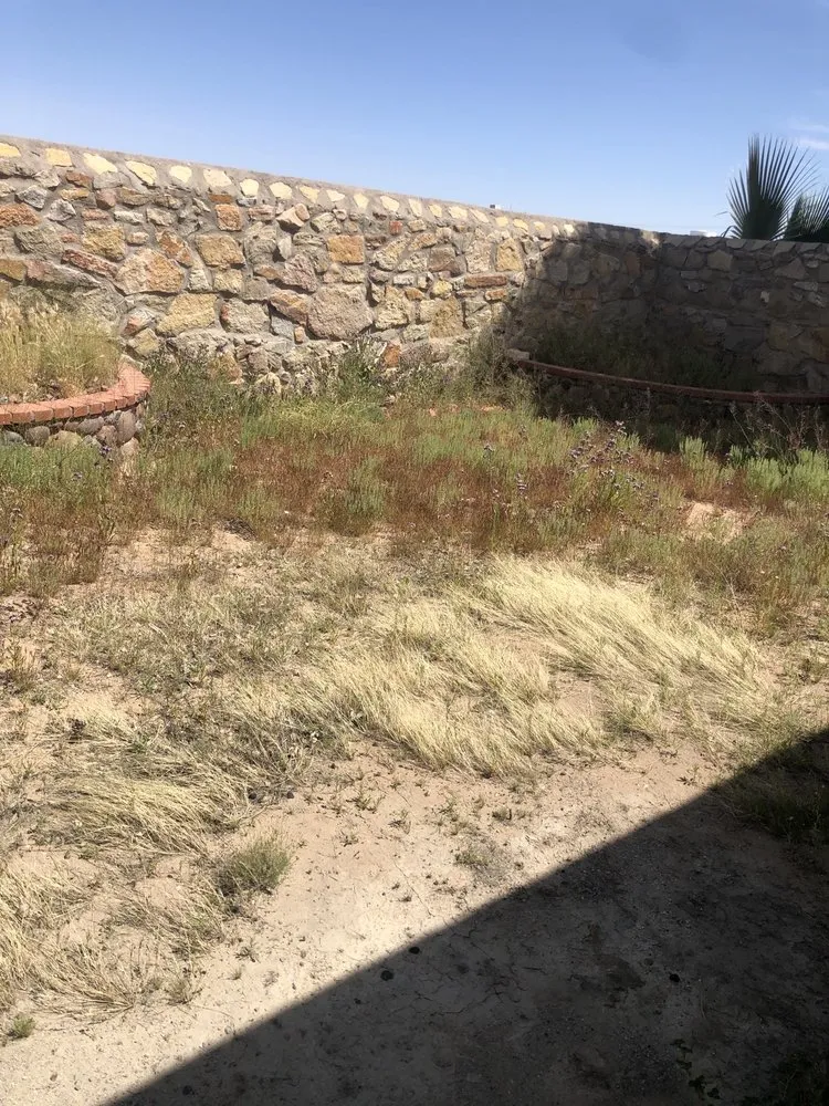 Reliable yard cleanup service in El Paso, TX - Guzman Lawn & Landscape