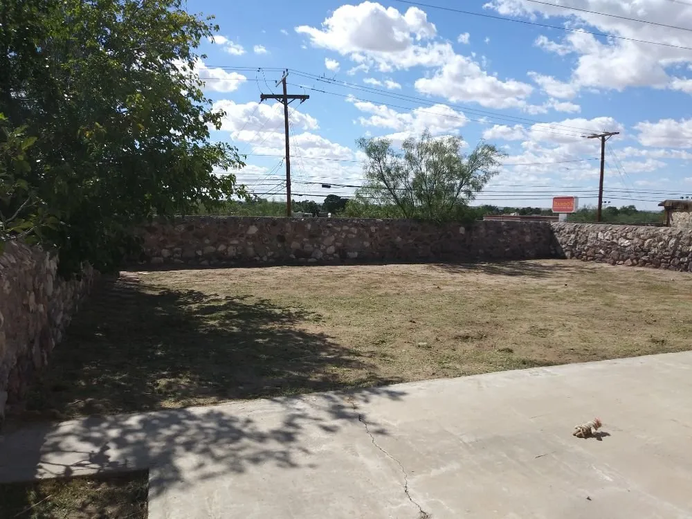 Top-rated lawn care service for beautiful yards in El Paso, TX by Guzman Lawn & Landscape