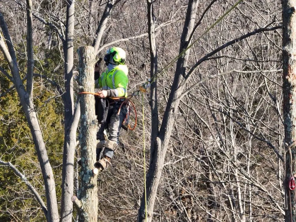 Custom lawn mowing service for outdoor upgrades across Seymour, CT - Guzman Tree Removal