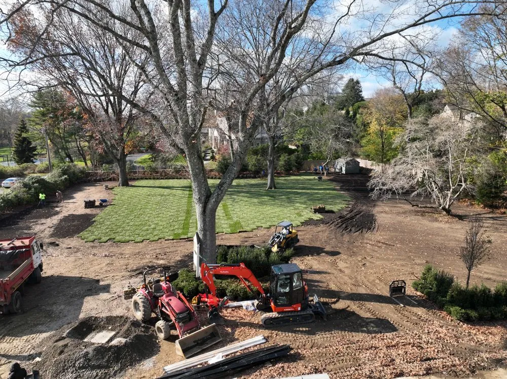 Trusted yard maintenance in Seymour, CT by Guzman Tree Removal