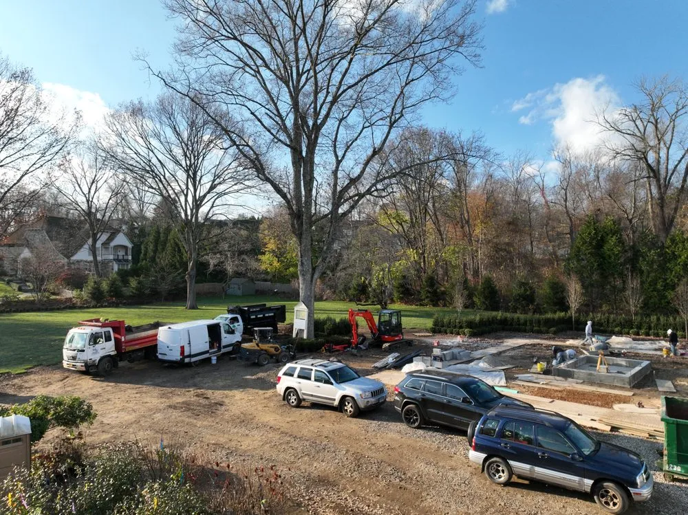 Expert yard cleanup service in Seymour, CT by Guzman Tree Removal