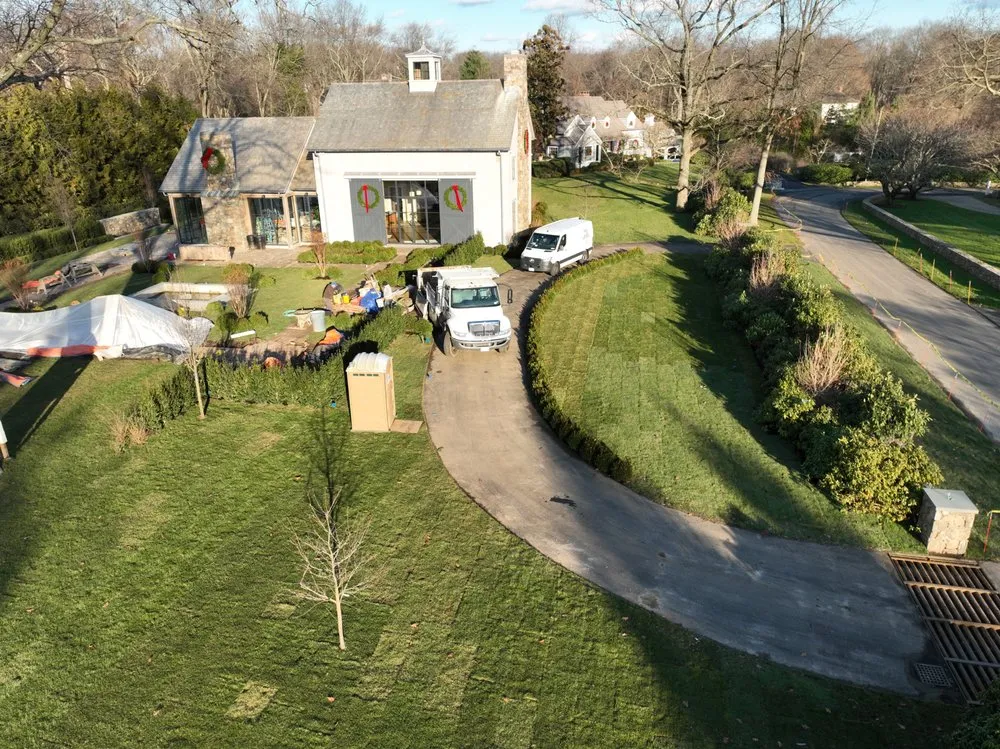 Top-rated lawn care service in Seymour, CT - Guzman Tree Removal