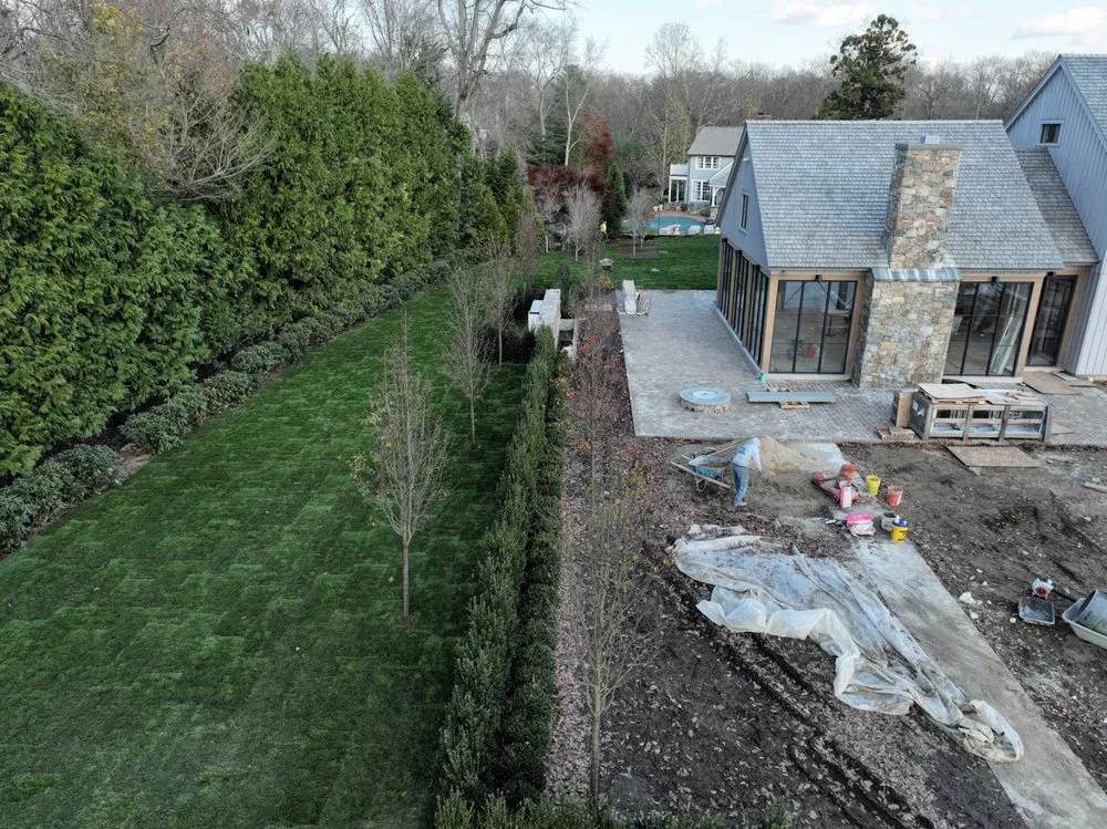 Reliable yard cleanup service for homes in Seymour, CT by Guzman Tree Removal