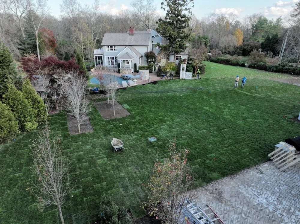 Top-rated yard cleanup service in Seymour, CT by Guzman Tree Removal