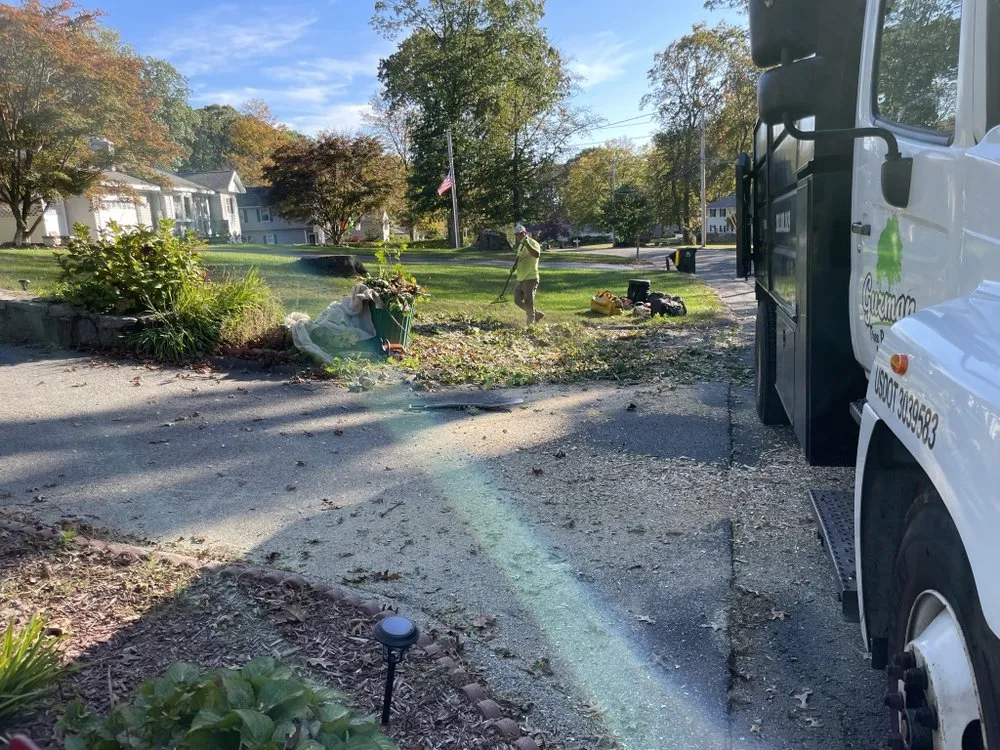 Professional outdoor landscaping in Seymour, CT - Guzman Tree Removal
