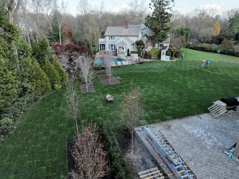 Professional lawn care service experts serving Seymour, CT - Guzman Tree Removal