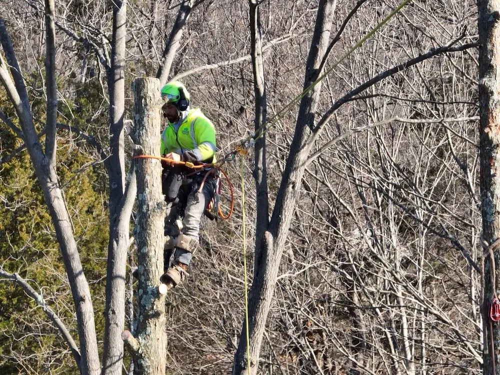 Custom residential landscaping in Seymour, CT - Guzman Tree Removal