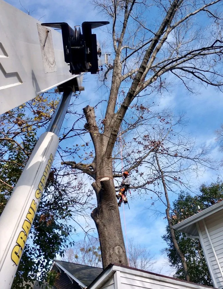 Custom yard cleanup service experts serving Chapel hill, NC - Guzman Tree Service & Landscaping