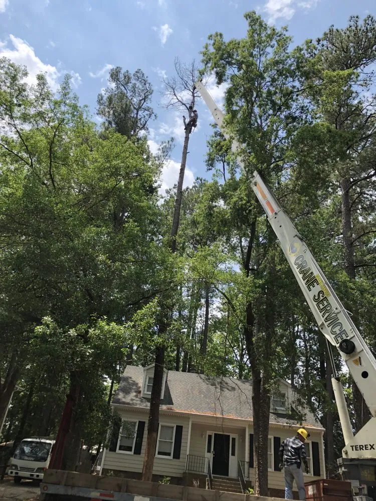 Trusted yard cleanup service with custom design in Chapel hill, NC by Guzman Tree Service & Landscaping