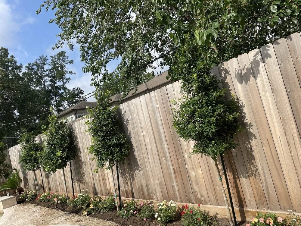 Trusted yard cleanup service in Houston, TX by Guzman's Landscaping & Lawn Services