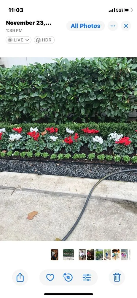 Local landscape installation in Houston, TX - Guzman's Landscaping & Lawn Services