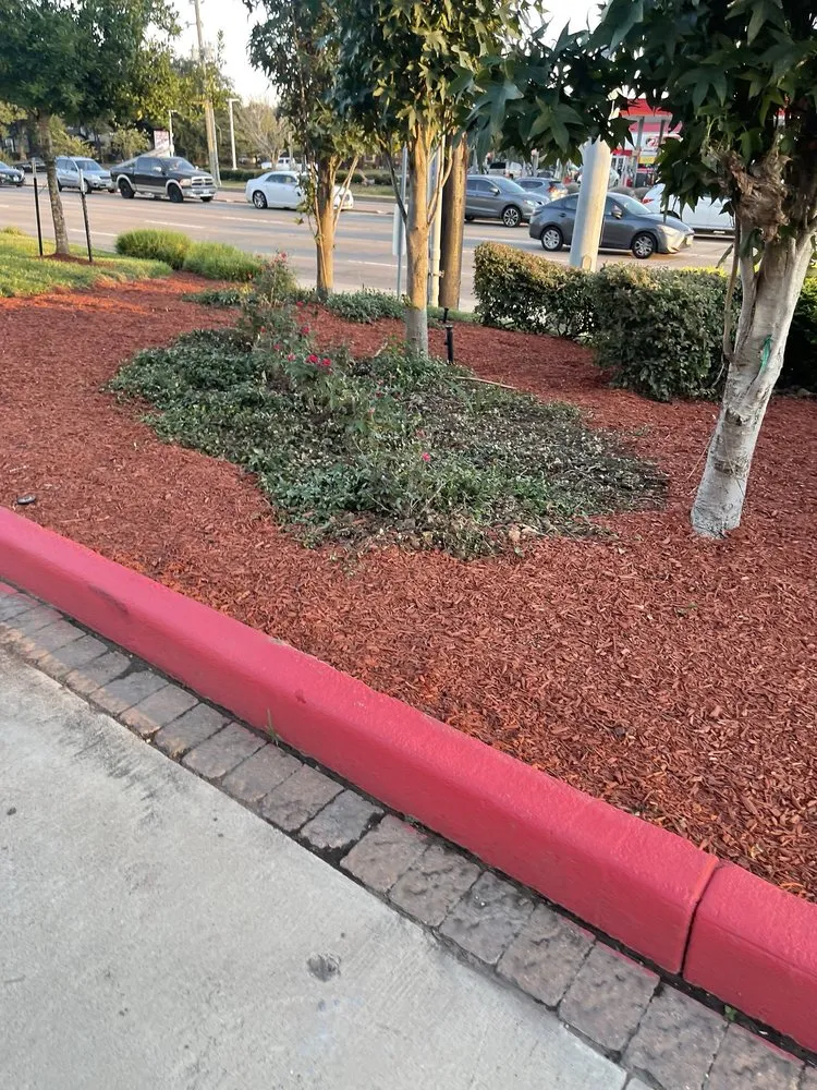 Expert landscape installation in Houston, TX by Guzman's Landscaping & Lawn Services