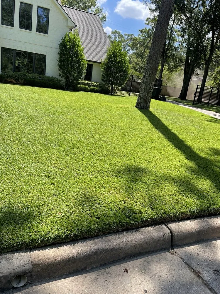 Trusted landscape design in Houston, TX by Guzman's Landscaping & Lawn Services