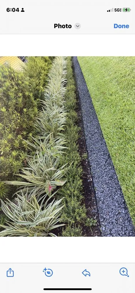 Affordable yard cleanup service in Houston, TX - Guzman's Landscaping & Lawn Services