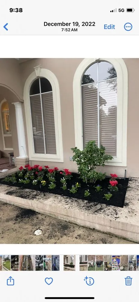 Expert lawn care service in Houston, TX - Guzman's Landscaping & Lawn Services