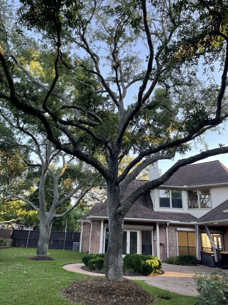 Professional residential landscaping experts serving Houston, TX - Guzman's Landscaping & Lawn Services