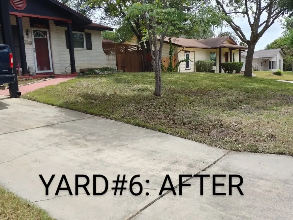 Expert yard maintenance in San Antonio, TX by Guzman's Landscaping And Mowing Services