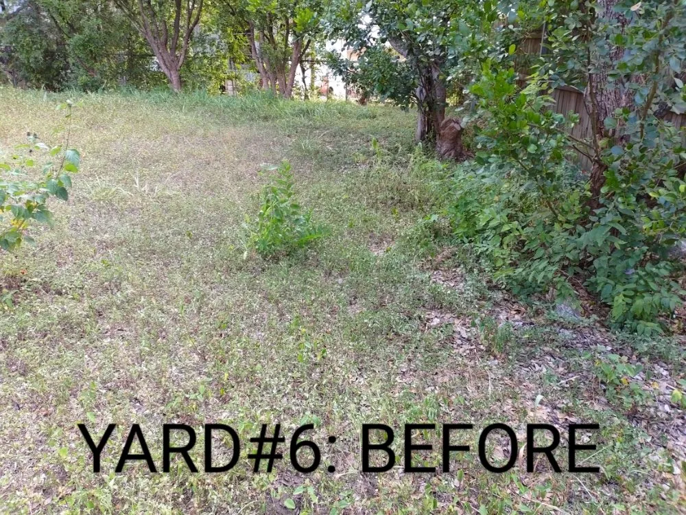 Affordable lawn mowing service in San Antonio, TX - Guzman's Landscaping And Mowing Services
