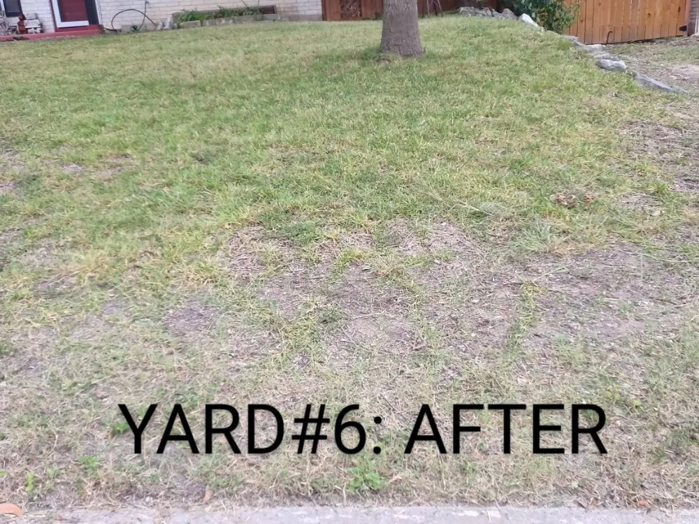 Top-rated yard maintenance for beautiful yards across San Antonio, TX - Guzman's Landscaping And Mowing Services