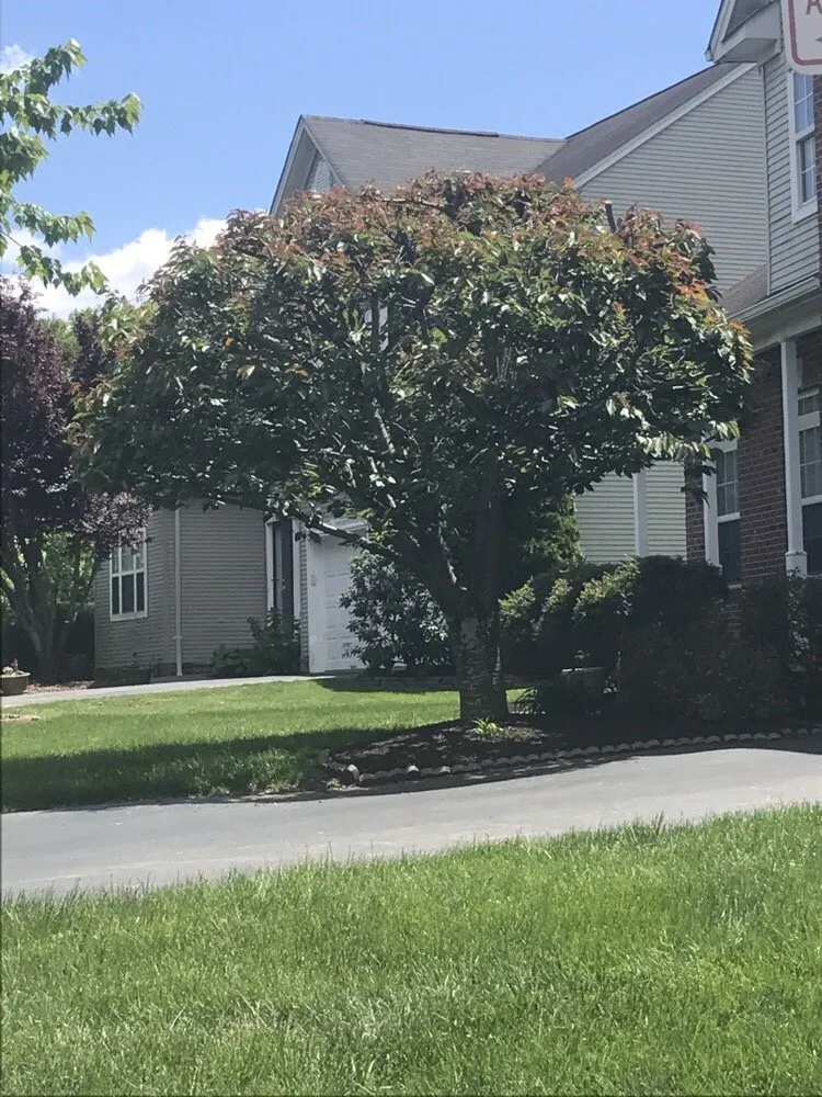 Expert lawn mowing service in Princeton, NJ by Guzmans Landscaping Services