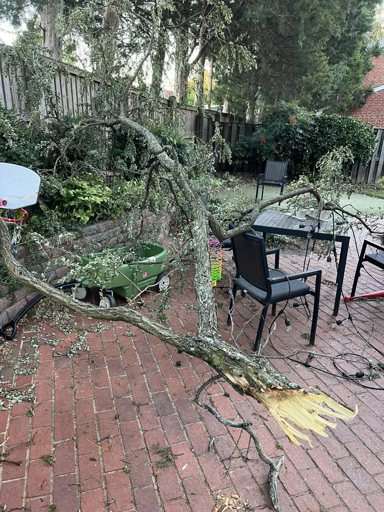 Local lawn care service experts serving Stephens City, VA - Guzmany Landscaping