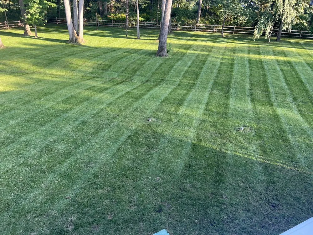 Expert landscape installation in Flanders, NJ - Guzys Landscaping and Services