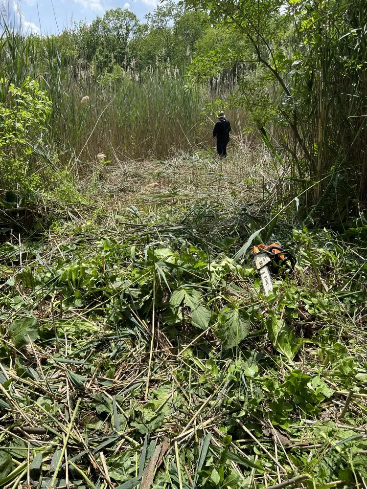 Reliable residential landscaping for residential properties in Flanders, NJ by Guzys Landscaping and Services