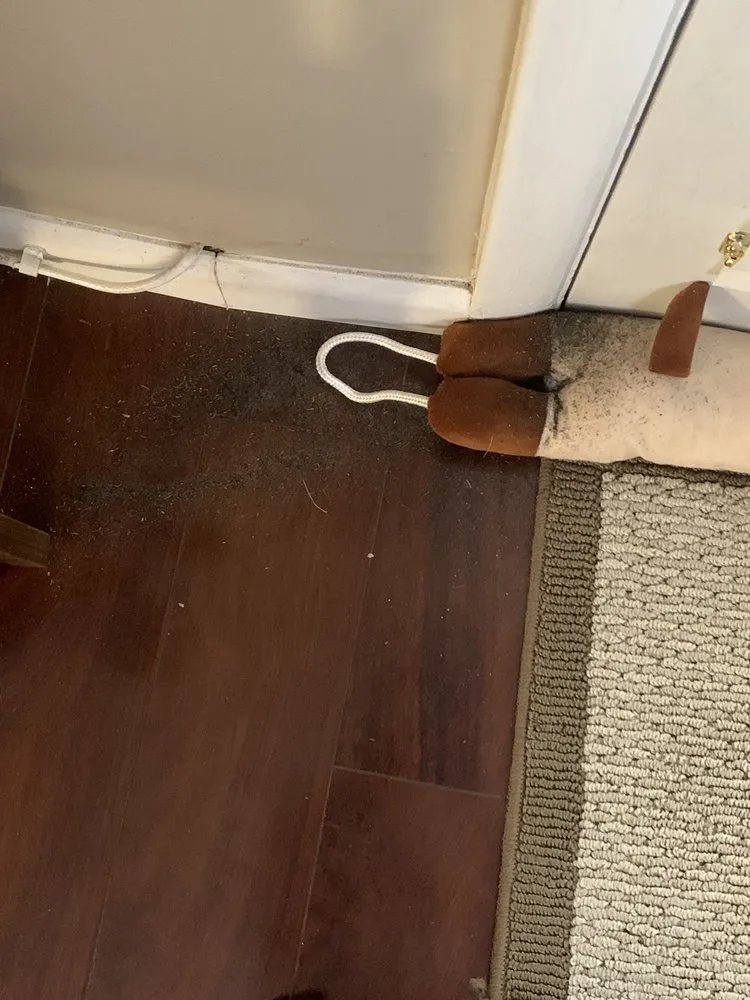 Professional outdoor landscaping in Sicklerville, NJ - Guzzo Maintenence & Landscapin G