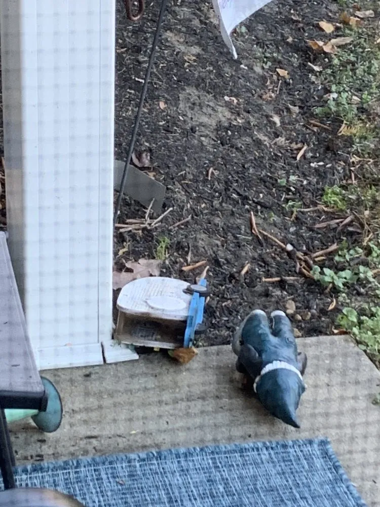 Expert yard maintenance in Sicklerville, NJ by Guzzo Maintenence & Landscapin G