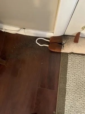 Guzzo Maintenence & Landscapin G Logo