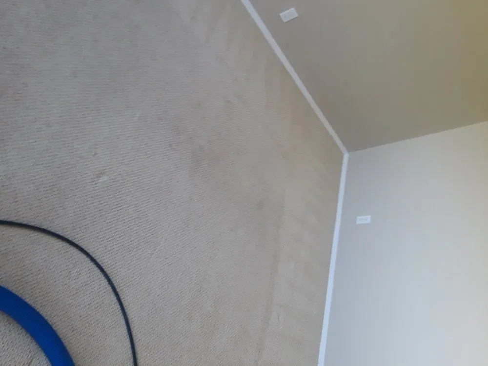 Top-rated lawn care service for beautiful yards across Kapolei, HI - Guzzy's Service