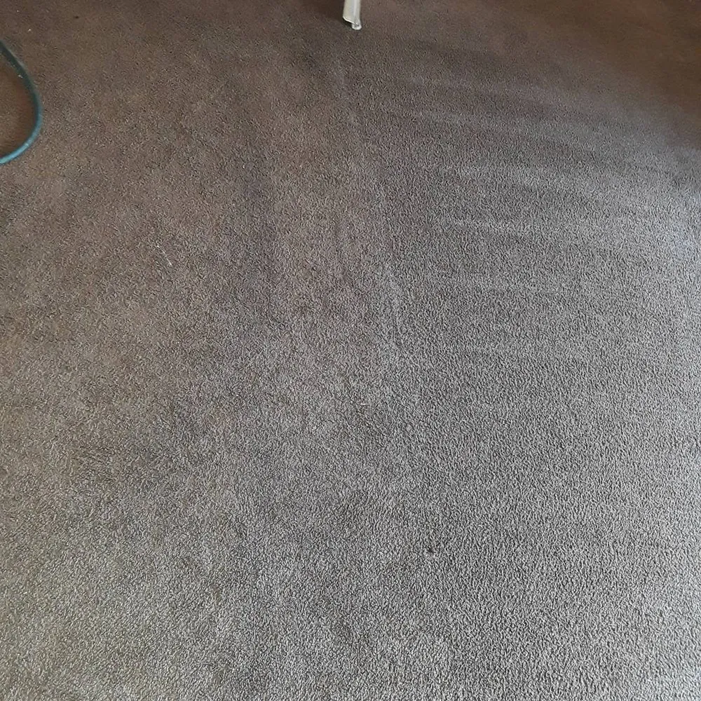 Affordable yard cleanup service experts serving Kapolei, HI - Guzzy's Service