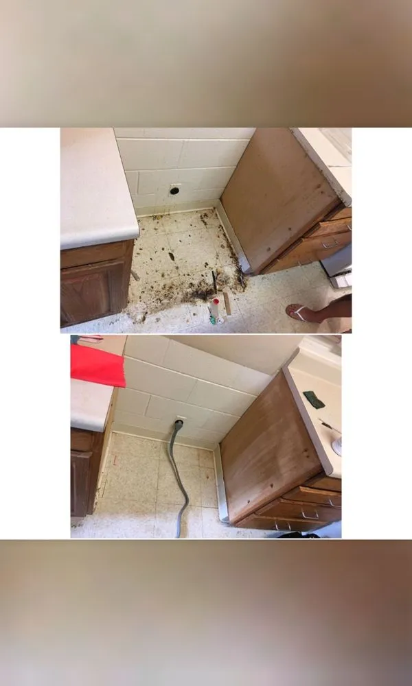 Expert lawn care service in Kapolei, HI - Guzzy's Service