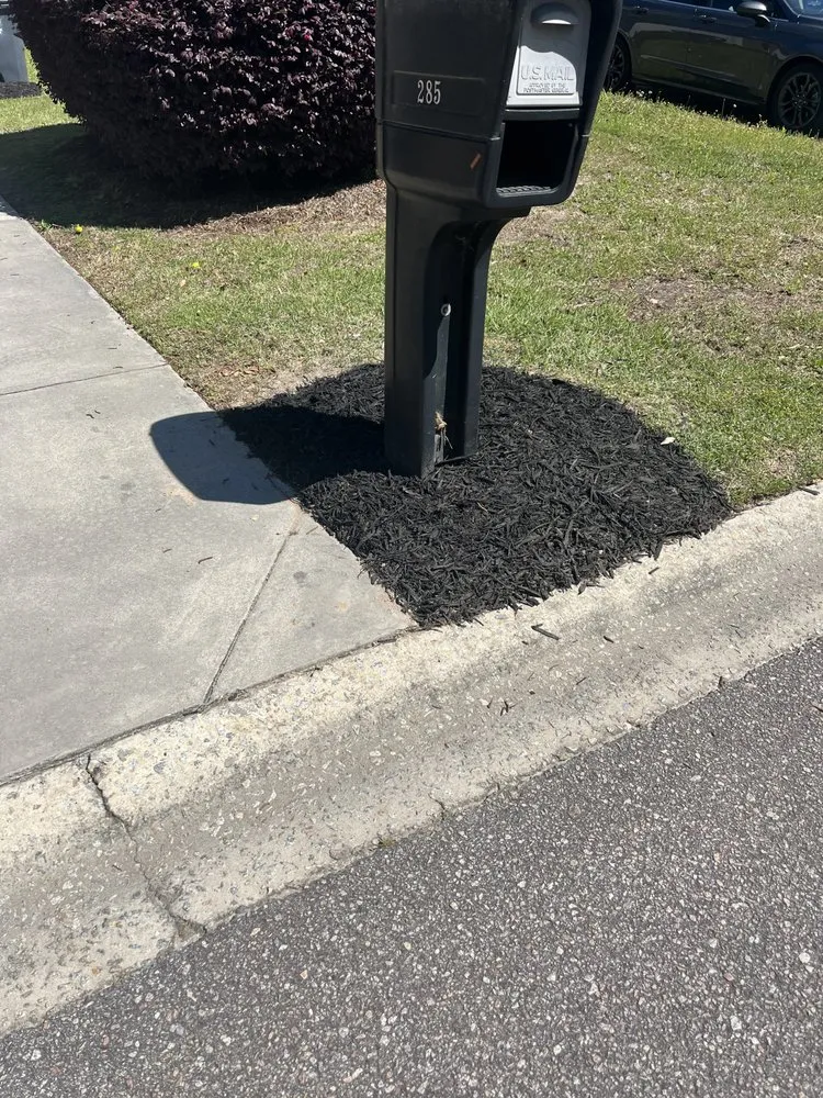 Local yard cleanup service for outdoor upgrades across Batesburg-Leesville, SC - GV Landscaping