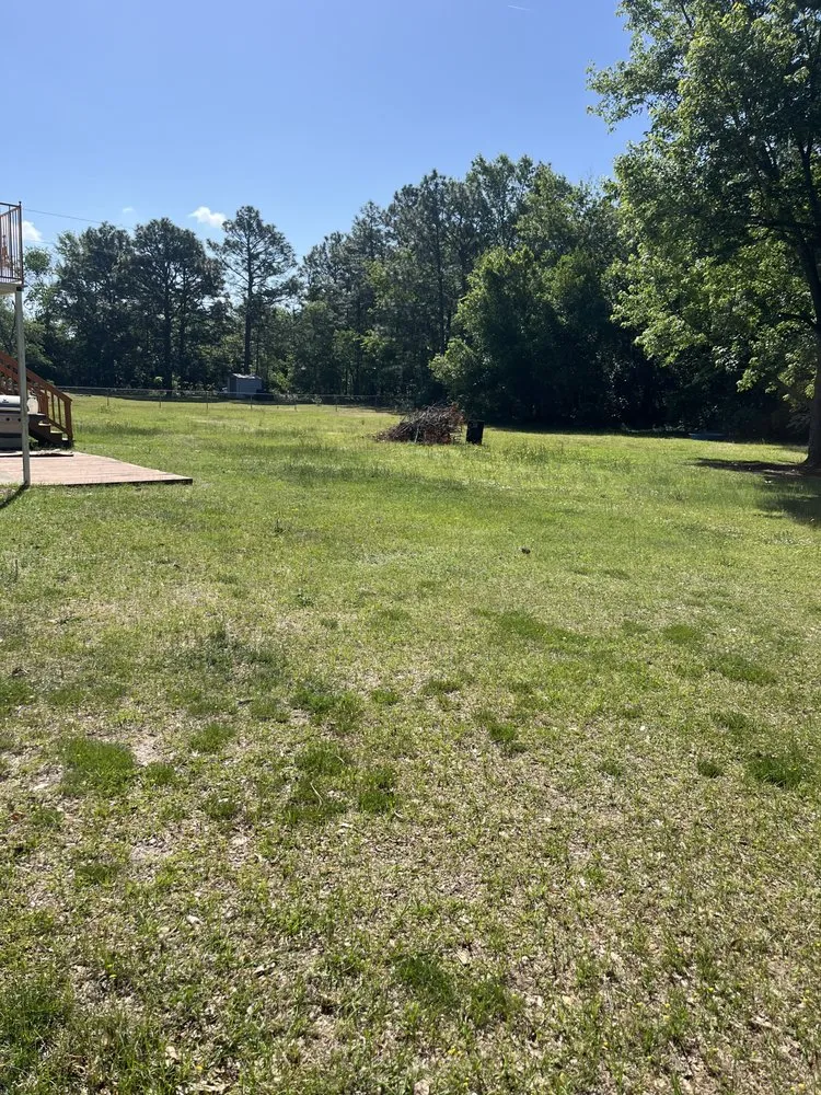 Professional lawn care service for year-round maintenance across Batesburg-Leesville, SC - GV Landscaping