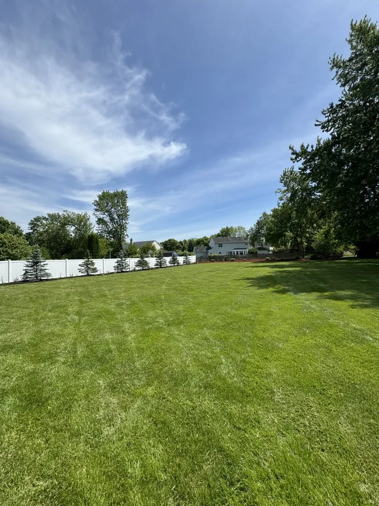 Affordable yard cleanup service for homes across Libertyille, IL - GV Landscaping
