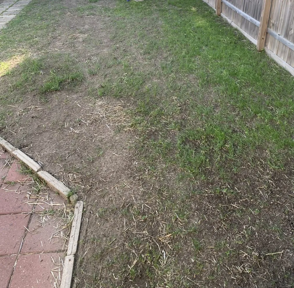 Professional landscaping services with custom design in Milwaukee, WI by GV Landscaping