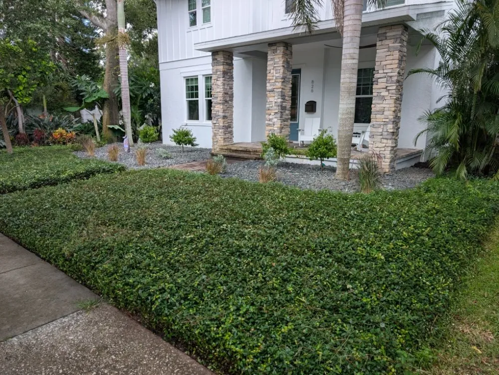 Expert landscape design for beautiful yards across Bradenton, FL - GV Landscaping Solutions