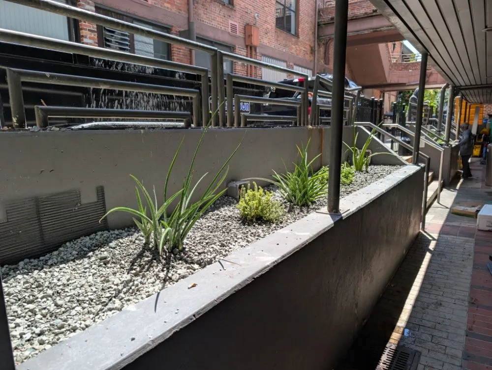 Reliable landscape installation in Bradenton, FL - GV Landscaping Solutions