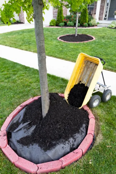 Top-rated garden landscaping in Wenatchee, WA - GV Landscaping