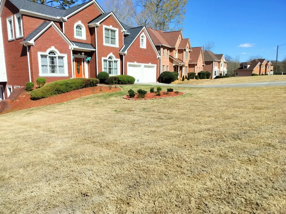 Expert yard cleanup service experts serving Atlanta, GA - GV Lawn & Tree Service