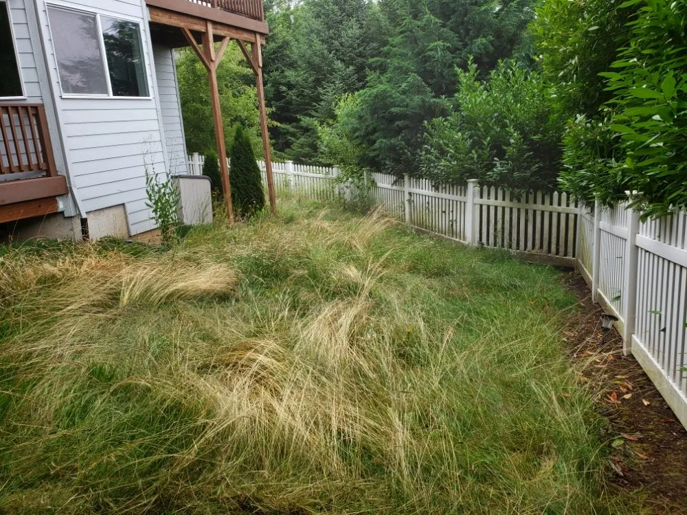 Trusted lawn care service experts serving Woodburn, OR - G&V Lawn Care