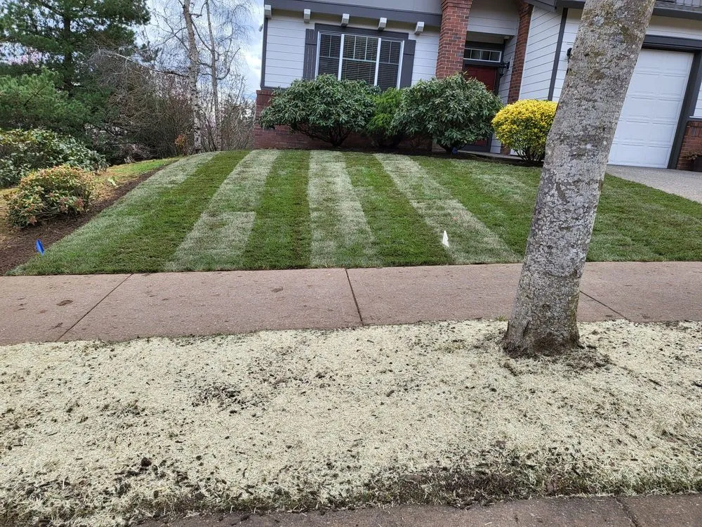 Local yard cleanup service experts serving Woodburn, OR - G&V Lawn Care
