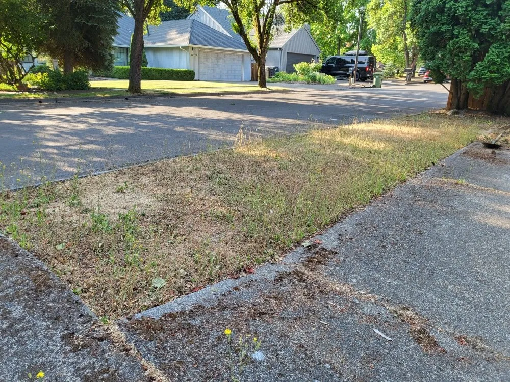 Expert landscaping services in Woodburn, OR - G&V Lawn Care