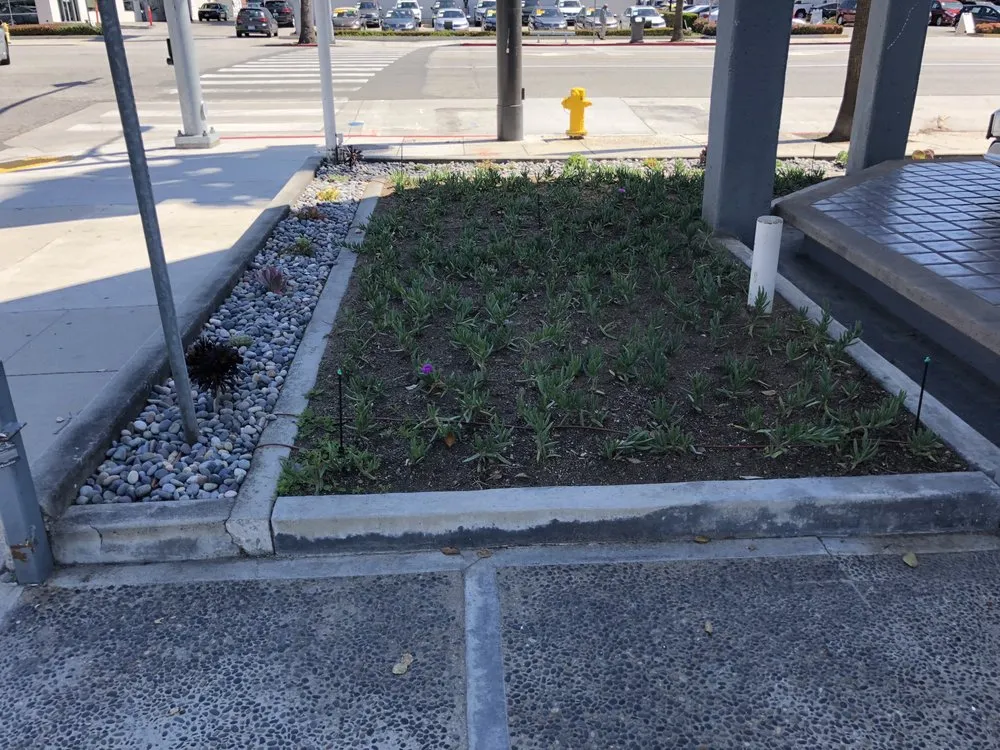 Professional landscape installation with custom design across Los Angeles, CA - GV Property Care