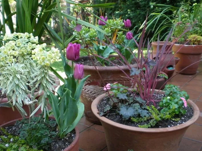 Professional lawn care service experts serving Los Angeles, CA - GV Property Care