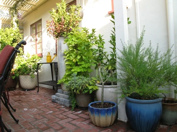 Custom garden landscaping for outdoor upgrades in Los Angeles, CA by GV Property Care